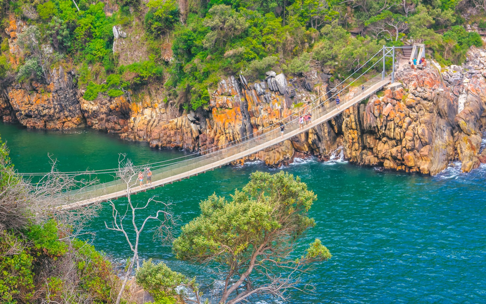 Day 7: Knysna - Tsitsikamma National park - Knysna